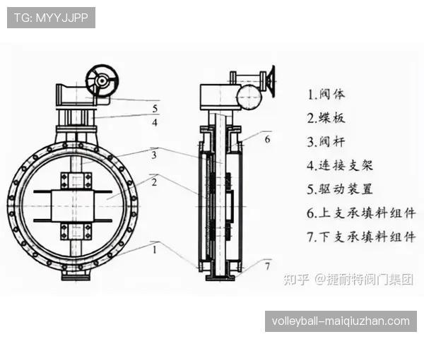 解析篮球防守圆柱体原则中的手部接触判定标准 解析篮球防守圆柱体原则中的手部接触判定标准